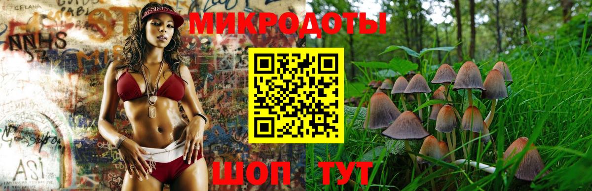 Псилоцибиновые грибы Psilocybe Владивосток